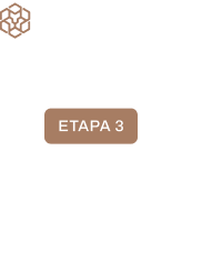 Etapa 3 Atrupe PRO – estruturação de processos para comunicação visual